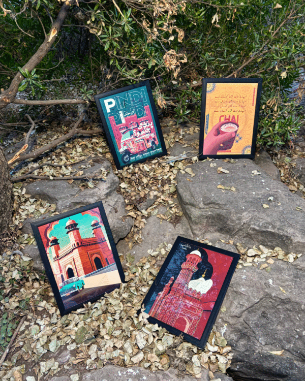 Black Chikankari Gharara Badshahi Mosque