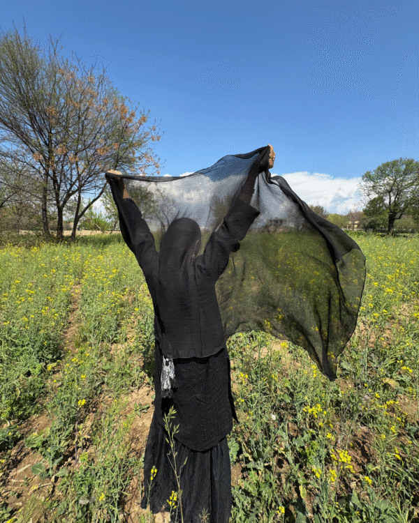 Black Chikankari Gharara (12) Black Chikankari Gharara