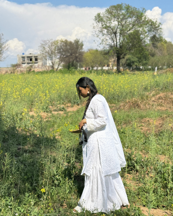 White Chikankari Gharara (10) White Chikankari Gharara