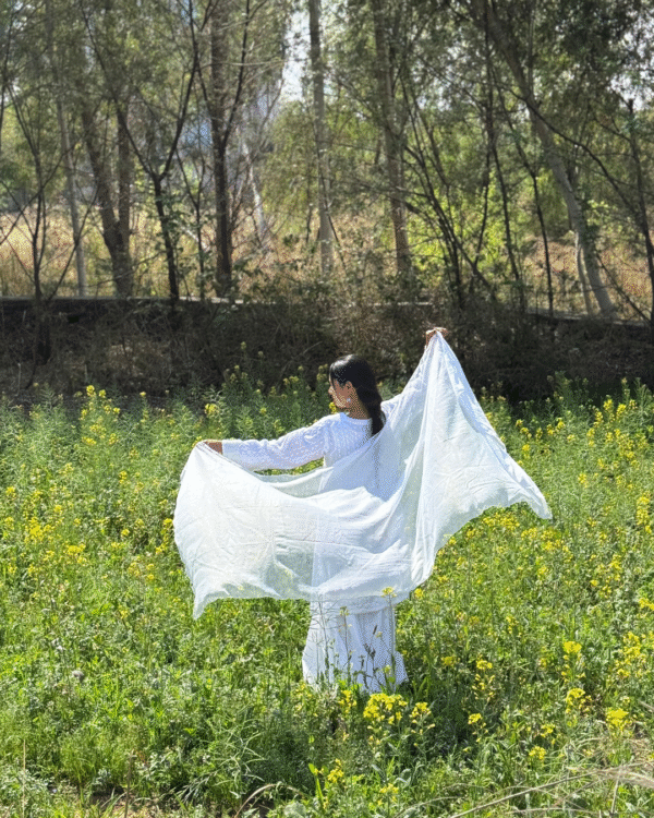White Chikankari Gharara (6) White Chikankari Gharara
