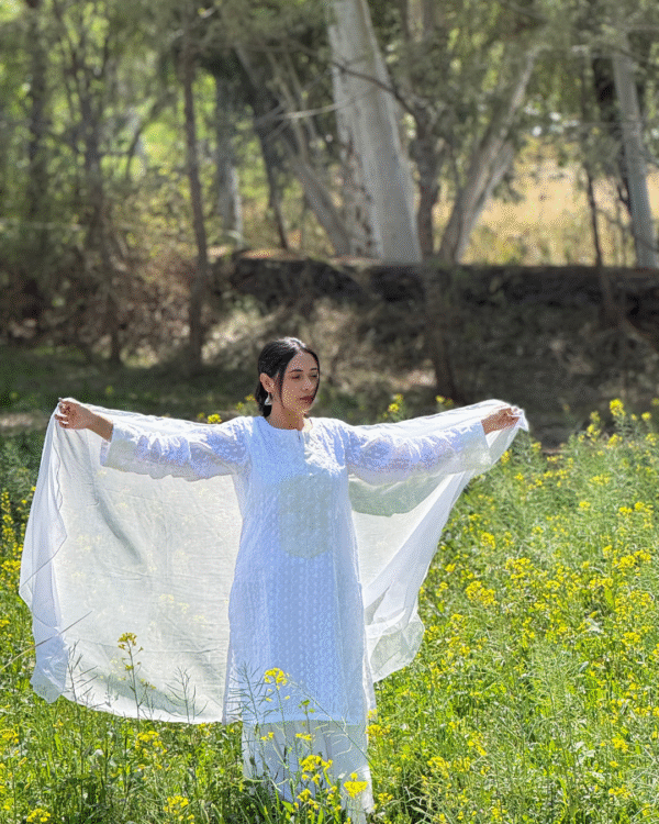 White Chikankari Gharara (9) White Chikankari Gharara