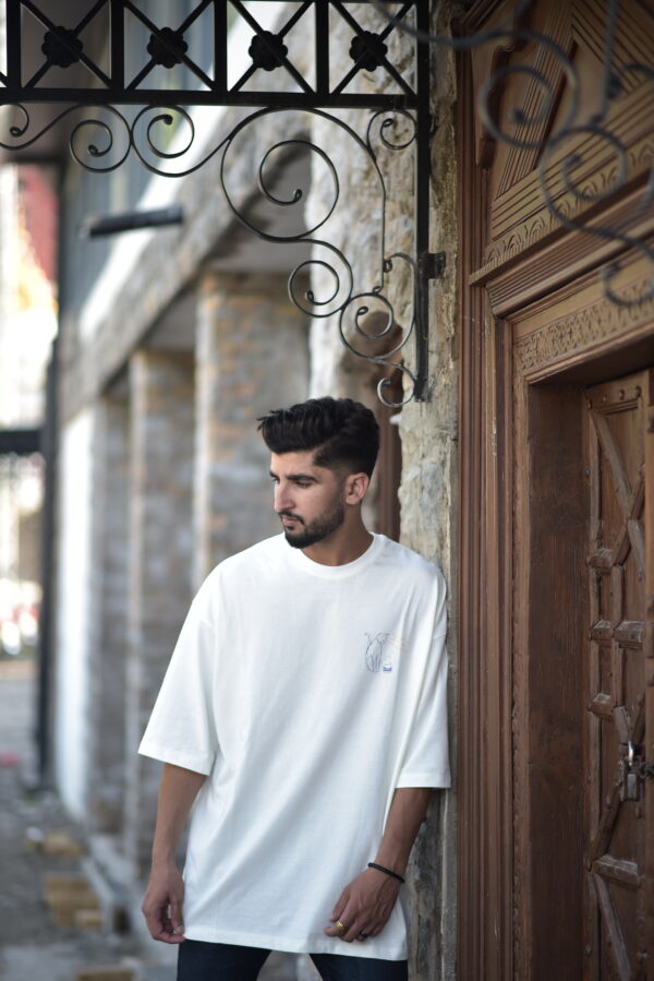 Amir Mahii The starry night- Islamabad