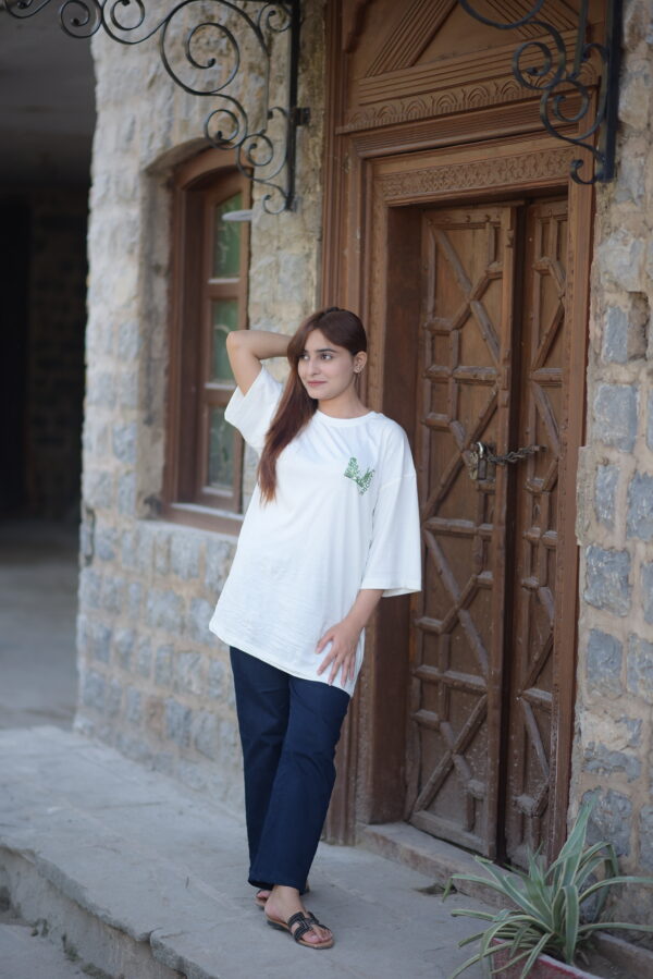 Amir Mahii Lahore- Androon ke rang